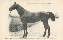 Hippisme * La France Chevaline N°14 1909 * Concours Centrale Hippique * Cheval RESEDA Bai Brun - Hípica