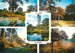 91 - Senart - La Foret De Senart - Multivues - CPM - Voir Scans Recto-Verso - Sénart