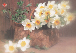 Postal Stationery - Easter Flowers - Daffodils In The Basket - Red Cross 1997 - Suomi Finland - Postage Paid - Postwaardestukken