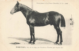 Hippisme * La France Chevaline N°12 1909 * Concours Centrale Hippique * Cheval PORTICI Bai - Reitsport