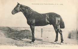 Hippisme * La France Chevaline N°10 1909 * Concours Centrale Hippique * Cheval MARS Bai Brun - Paardensport
