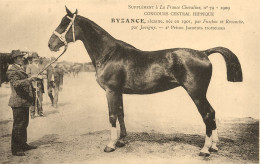 Hippisme * La France Chevaline N°79 1909 * Concours Centrale Hippique * Cheval BIZANCE Alezane Jument Trotteuse - Horse Show