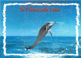 Animaux - Dauphin - Dolphin - Carte à Message - CPM - Carte Neuve - Voir Scans Recto-Verso - Dauphins