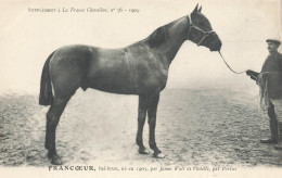 Hippisme * La France Chevaline N°56 1909 * Concours Centrale Hippique * Cheval FRANCOEUR Bai Brun - Paardensport
