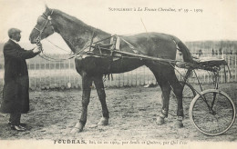 Hippisme * La France Chevaline N°59 1909 * Concours Centrale Hippique * Cheval FOUDRAS Bai Jockey - Paardensport