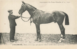 Hippisme * La France Chevaline N°15 1909 * Concours Centrale Hippique * Cheval FALERNO Alezan - Paardensport