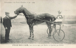 Hippisme * La France Chevaline N°40 1909 * Concours Centrale Hippique * Cheval FILLE DE L'AIR Baie Jockey - Paardensport