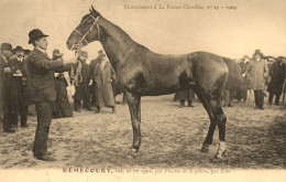 Hippisme * La France Chevaline N°23 1909 * Concours Centrale Hippique * Cheval BEMECOURT Bai - Horse Show