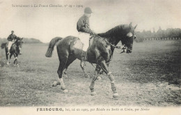 Hippisme * La France Chevaline N°29 1909 * Concours Centrale Hippique * Cheval FRIBOURG Bai Jockey - Horse Show