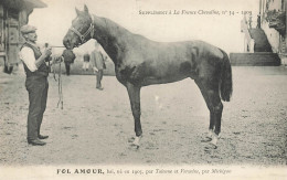 Hippisme * La France Chevaline N°34 1909 * Concours Centrale Hippique * Cheval FOL AMOUR Bai - Paardensport