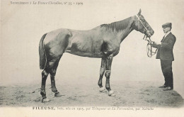 Hippisme * La France Chevaline N°35 1909 * Concours Centrale Hippique * Cheval FILEUSE Baie - Paardensport