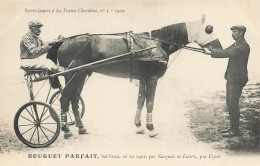 Hippisme * La France Chevaline N°3 1909 * Concours Centrale Hippique * Cheval BOUQUET PARFAIT Bai Brun Jockey - Reitsport