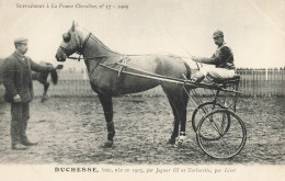 Hippisme * La France Chevaline N°37 1909 * Concours Centrale Hippique * Cheval DUCHESSE Baie Jockey - Horse Show