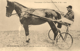 Hippisme * La France Chevaline N°67 1909 * Concours Centrale Hippique * Cheval ELISABETH Baie Jockey - Reitsport