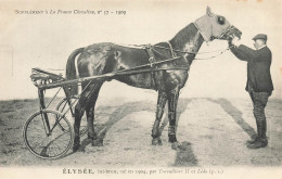 Hippisme * La France Chevaline N°57 1909 * Concours Centrale Hippique * Cheval ELYSEE Bai Brun Jockey - Paardensport