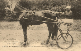 Hippisme * La France Chevaline N°66 1909 * Concours Centrale Hippique * Cheval FRED LEYBURN Bai Jockey - Paardensport