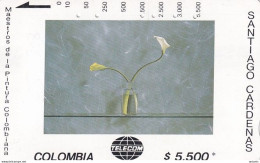 COLOMBIA(Tamura) - Dos Cartuchos Sobre Verde, Painting/Santiago Cardenas, Tirage 20000, Used - Kolumbien