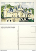 POPPE : Carte Postale CHÂTEAU USSE - Cartes Postales