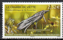 TAAF - Postfris / MNH - Insects 2024 - Ungebraucht