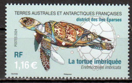 TAAF - Postfris / MNH - Turtles 2024 - Unused Stamps