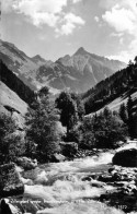 Zillergrund Gegen Brandbergkolm - Zillertal