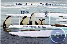 BAT - Postfris / MNH - Sheet Polar Animals 2023 - Neufs