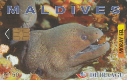 PHONE CARD MALDIVE  (E54.12.3 - Maldiven