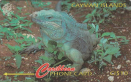 PHONE CARD CAYMAN ISLANDS  (E49.56.1 - Cayman Islands