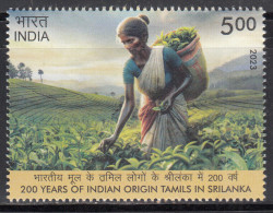 India MNH 2023, Indian Origin Tamils In Sri Lanka, Tea Plant Women Labour. Basket, - Unused Stamps