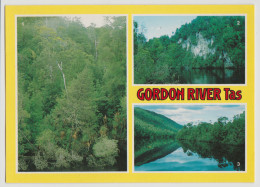 Australia TASMANIA TAS Gordon River WEST COAST Nucolorvue 12TW019 Multiview Postcard C1980s - Wilderness