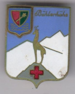 Sanatorium BÜHLERHÖHE - Insigne émaillé Augis - Medicina