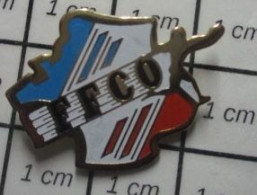 2020  Pin's Pins / Beau Et Rare / THEME : SPORTS / FFCO  Fédération Française De Course D'Orientation - Athlétisme