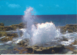 Tonga Postcard Sent To Italy 2000 Blow Hole Popao Village Resort - Tonga