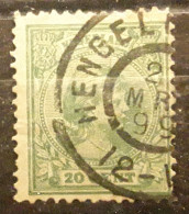 NEDERLAND PAYS BAS NETHERLANDS 1891 Wilhelmina Yvert 40, 20 C Vert  Obl Cachet HENGELO, Overijssel, 2 Mrt 1899 ,TB - Usati