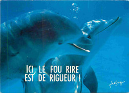 Animaux - Dauphin - Dolphin - Carte à Message - CPM - Voir Scans Recto-Verso - Dauphins