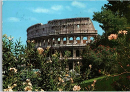 Le Colisée.    -  Cachet Poste 1976. Timbres Cité Du Vatican - Colosseum