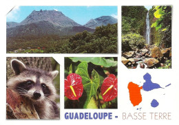 *CPM - 971 - GUADELOUPE - Basse Terre - Multivues - Basse Terre