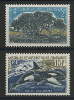 TAAF N° 29 + 30 Cote 48 € Neufs Sans Charnière ** (MNH) Qualité TB "Phylica / Orque" - Nuevos