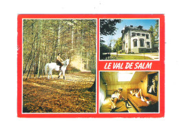 VIELSALM - LE VAL DE SALM  (8122) - Vielsalm