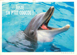 Animaux - Dauphin - Dolphin - Carte à Message - CPM - Voir Scans Recto-Verso - Dauphins