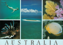 1 AK Australien / Australia * Ansichten Des Great Barrier Reef - Seit 1981 UNESCO Weltnaturerbe * - Great Barrier Reef