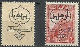 Turkey; 1928 Smyrna 2nd Exhibition 6 K. "Offset Overprint On Reverse" ERROR - Unused Stamps
