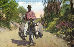 Curacao, N.W.I., WILLEMSTAD, Country Road, Donkey (1930s) Kropp 18541 Postcard - Curaçao