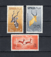 1958/59 Somalia AFIS 45/47 Animali, Fauna, Gazzelle, MNH ** - Somalia (AFIS)