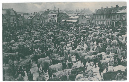 BL 27 - 13684 LIDA, Belarus, Market - Old Postcard - Used - 1917 - Belarus