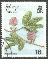 822 Solomon Islands Fleur Mimosa Flower (SOL-153) - Salomon (Iles 1978-...)