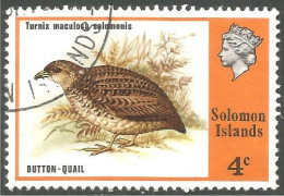 822 Solomon Islands Button Quail Caille (SOL-152) - Salomon (Iles 1978-...)