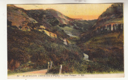 CQ33. Vintage Postcard. Blackgang Chine. Near Ventnor. Isle Of Wight. By LL - Ventnor