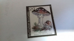 LR / TIMBRE BULGARIA 1990 CHAMPIGNON - Gebraucht