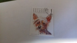 LR / TIMBRE BULGARIA 1991 CHIEN - Used Stamps